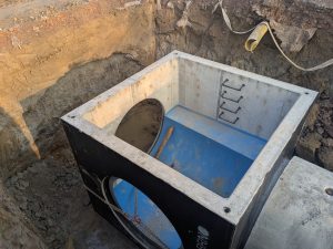 PXL_20260305_065816623